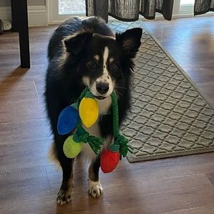 Meet your Posher, Jackie